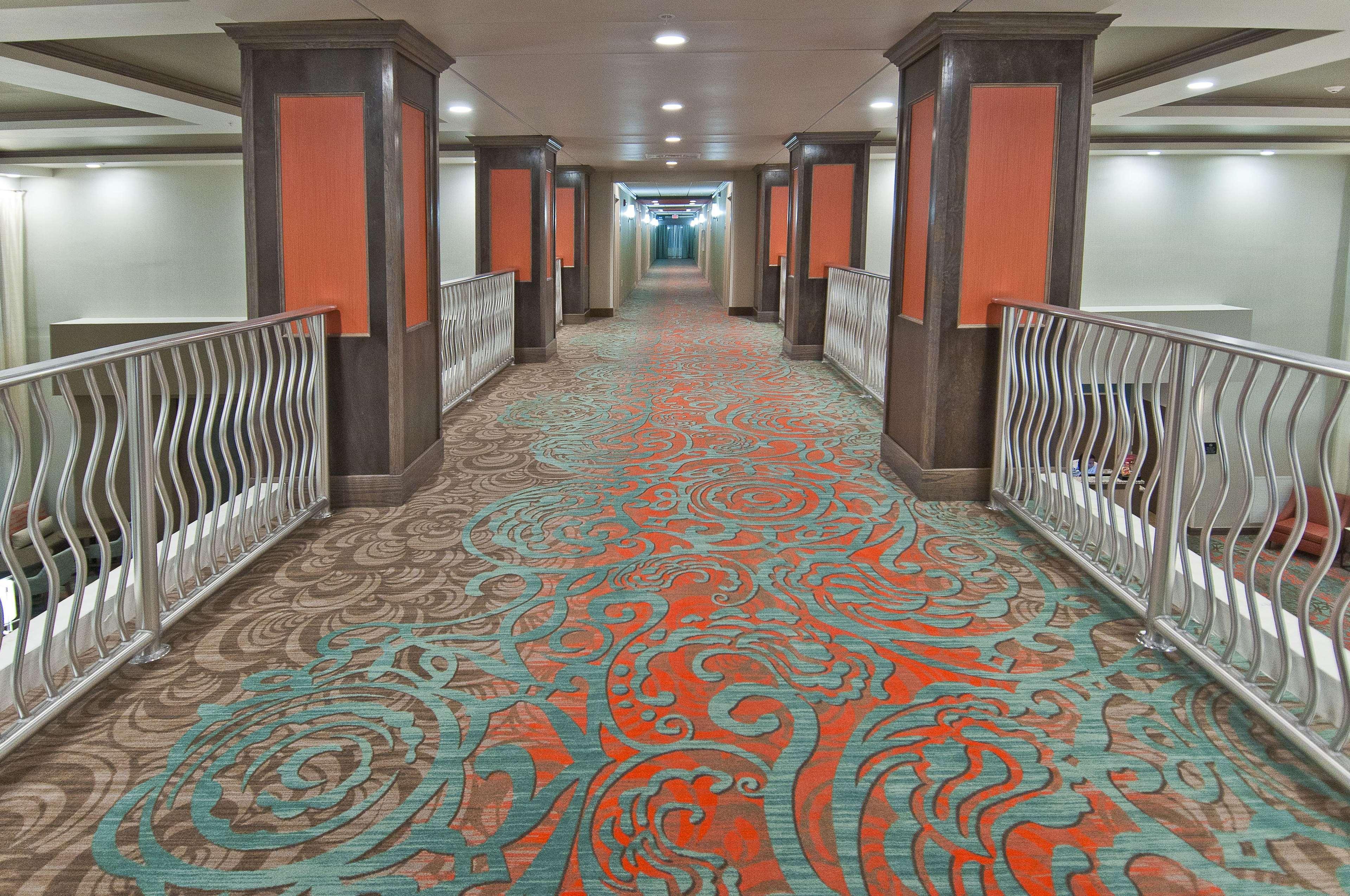 Ferry Pass Hampton Inn & Suites Pensacola/I-10 Pine Forest Road מראה חיצוני תמונה